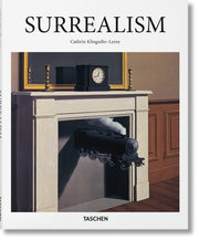 Surrealism used book depot