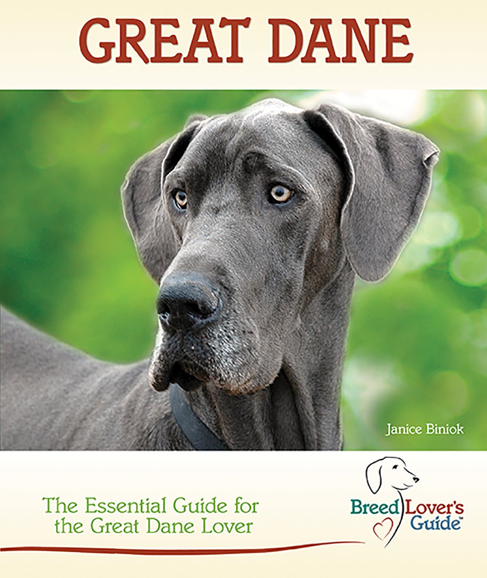 Great Dane: A Practical Guide for the Great Dane (Breed Lover's Guide) used book depot