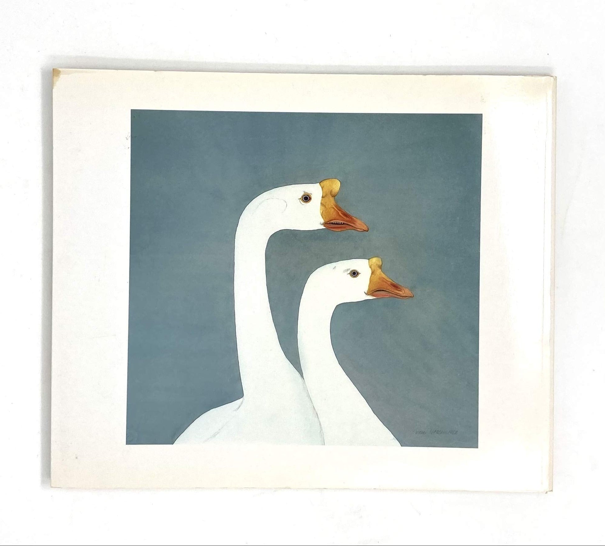 Beth Van Hoesen Creatures: The Art of Seeing Animals, Prints, Drawings and Watercolors used book depot