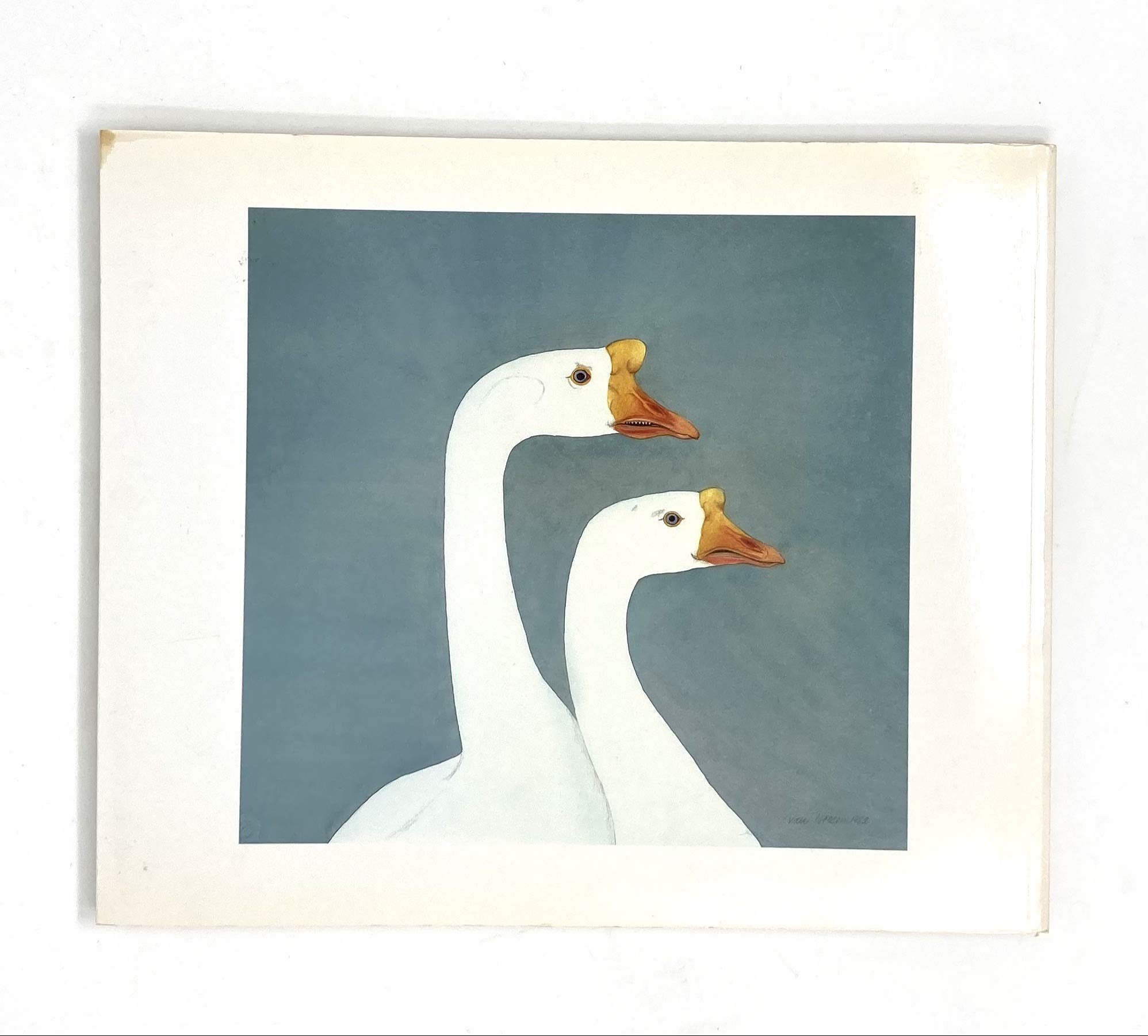 Beth Van Hoesen Creatures: The Art of Seeing Animals, Prints, Drawings and Watercolors used book depot