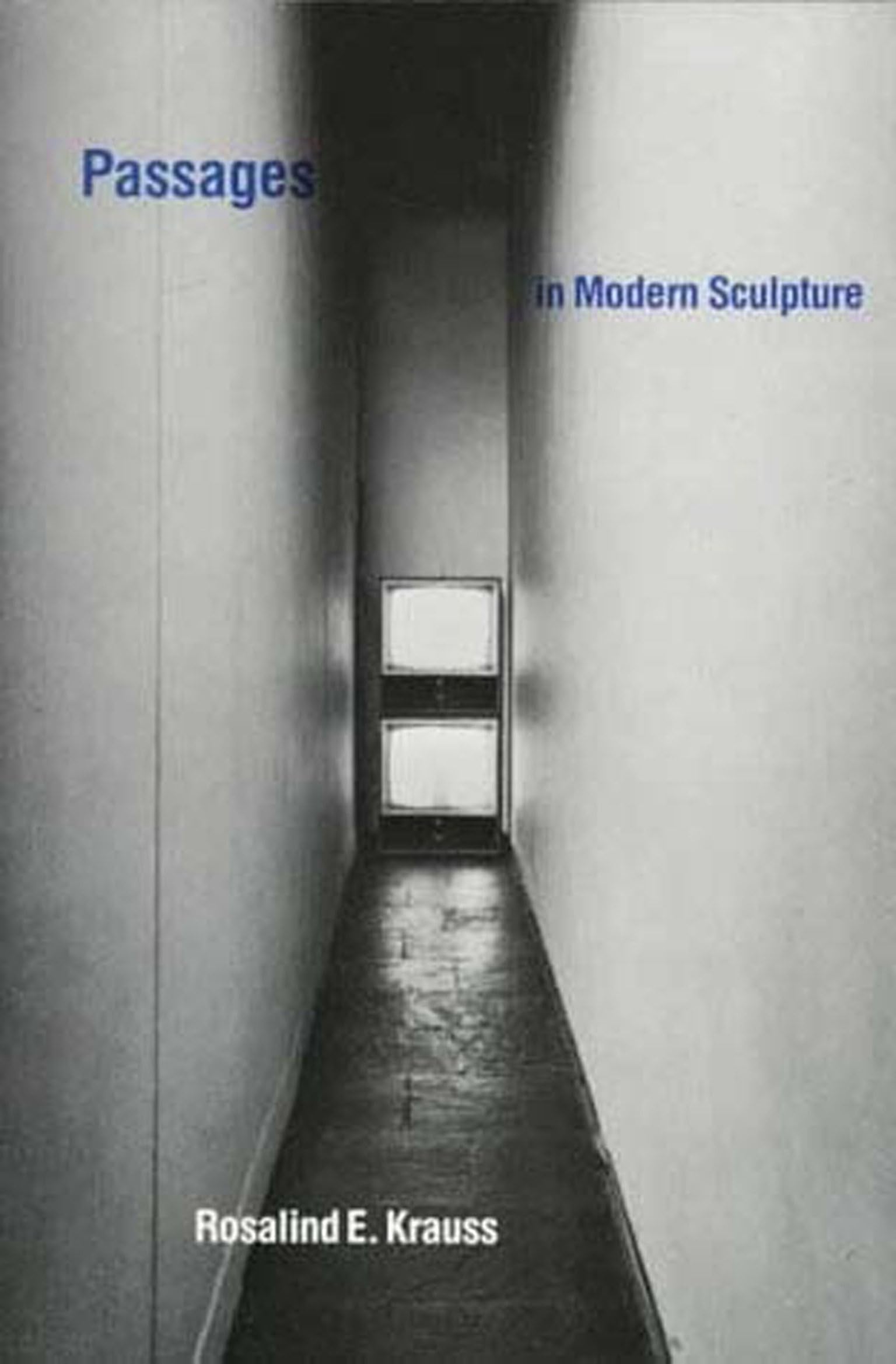 Passages in Modern Sculpture used book depot