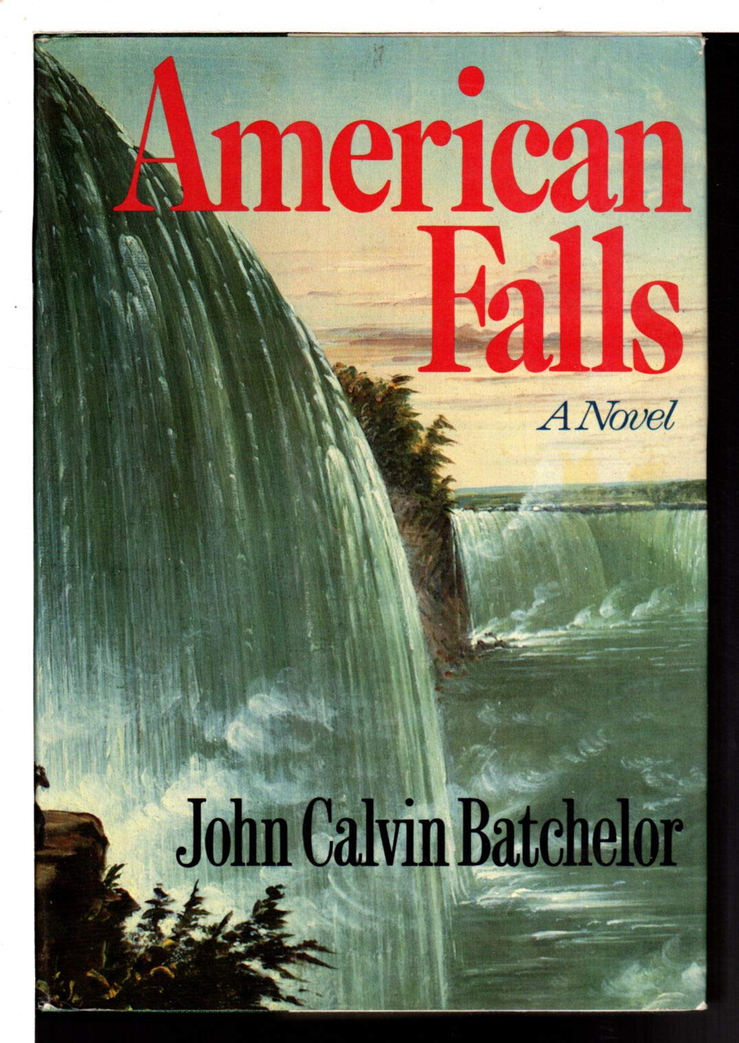 American Falls: A Novel used book depot