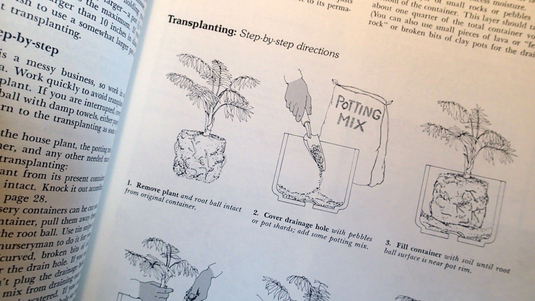 How to Grow House Plants used book depot