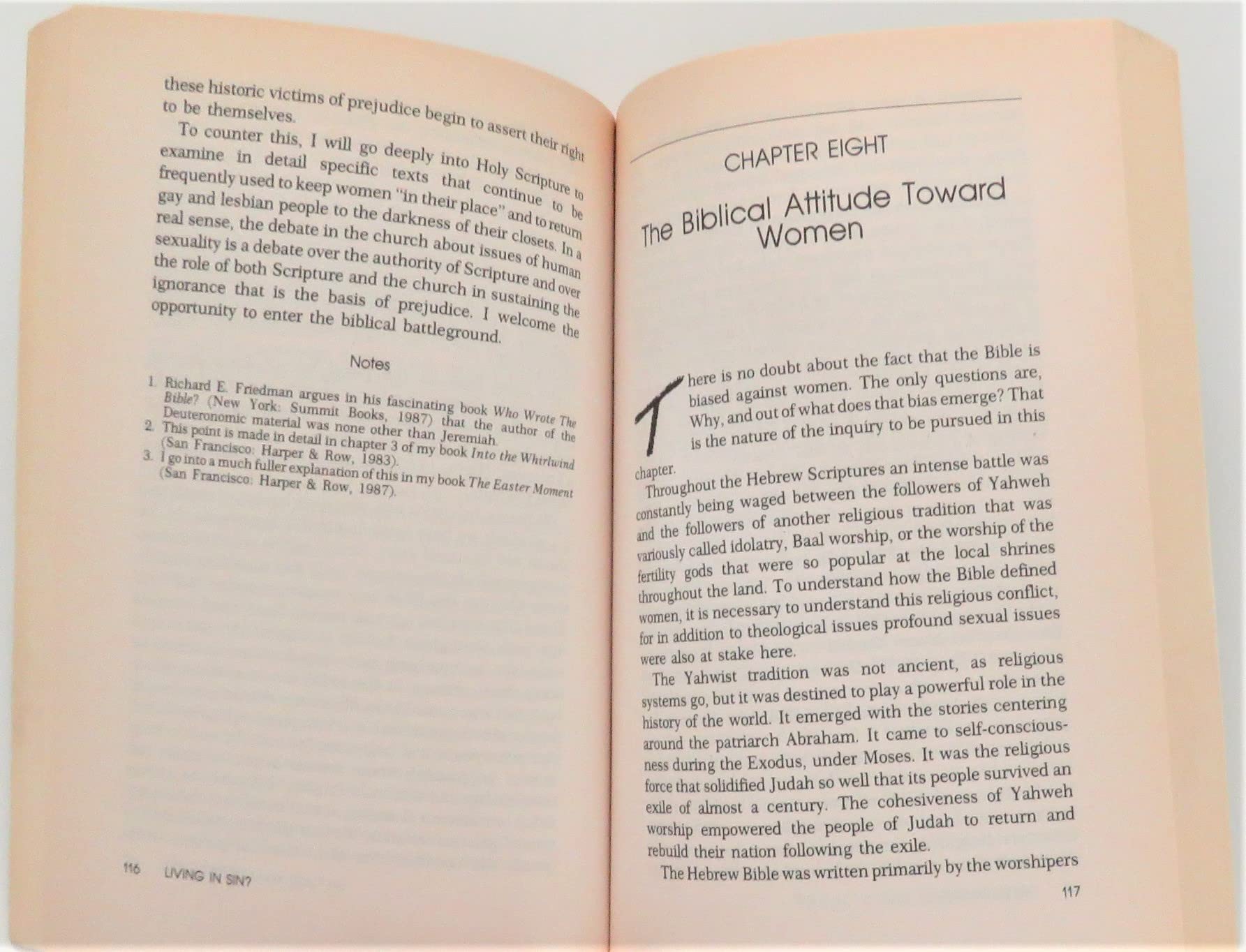 Living in Sin?: A Bishop Rethinks Human Sexuality used book depot