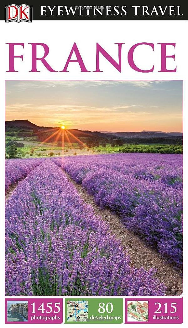 DK Eyewitness Travel Guide: France used book depot