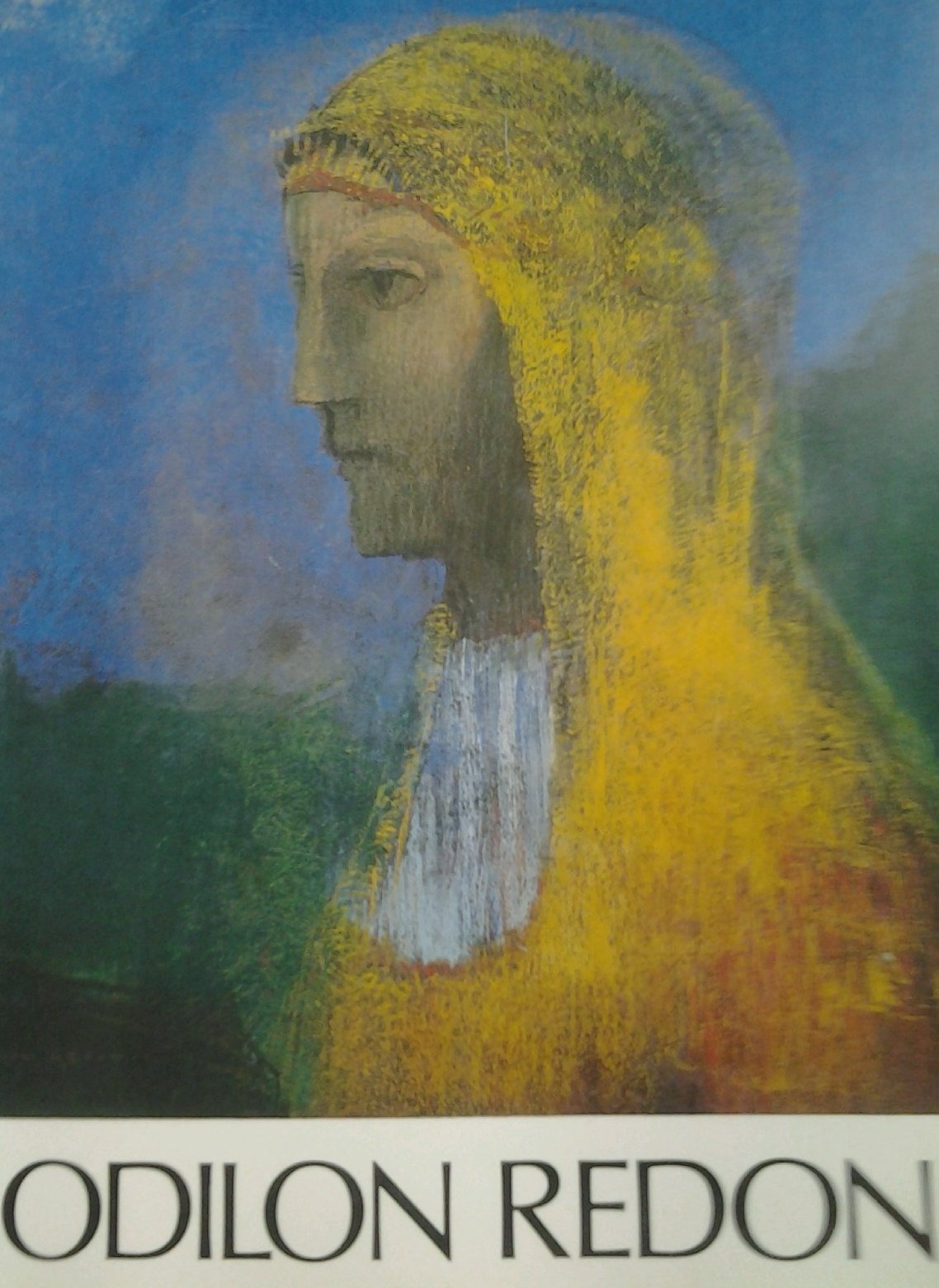 Odilon Redon: Ian Woodner Collection used book depot