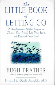 The Little Book of Letting Go used book depot
