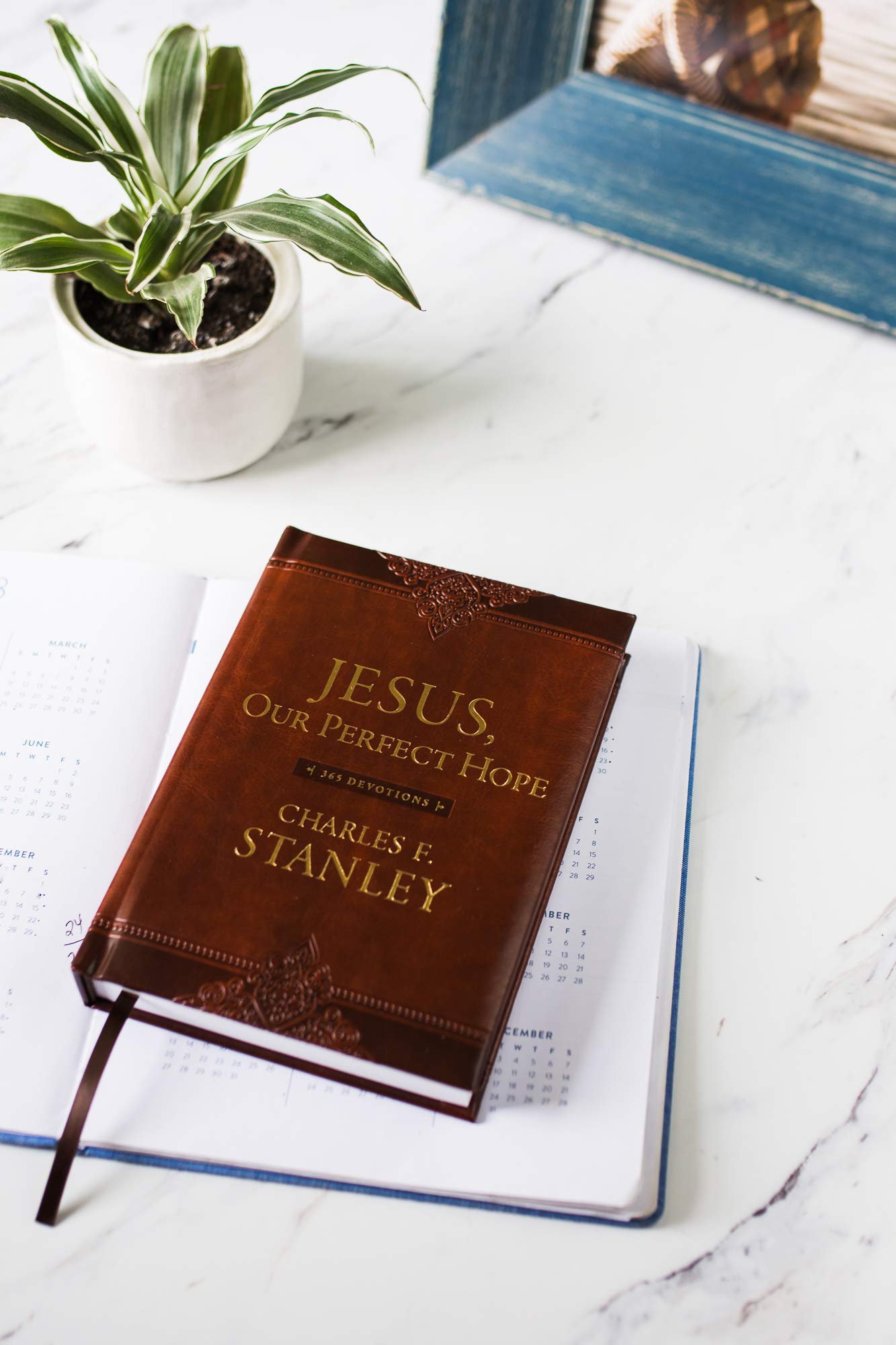 Jesus, Our Perfect Hope: A Daily Devotional for Finding Confidence and Encouragement in God’s Promises (365 Devotions - Inspiration for Every Day of the Year) (Devotionals from Charles F. Sta