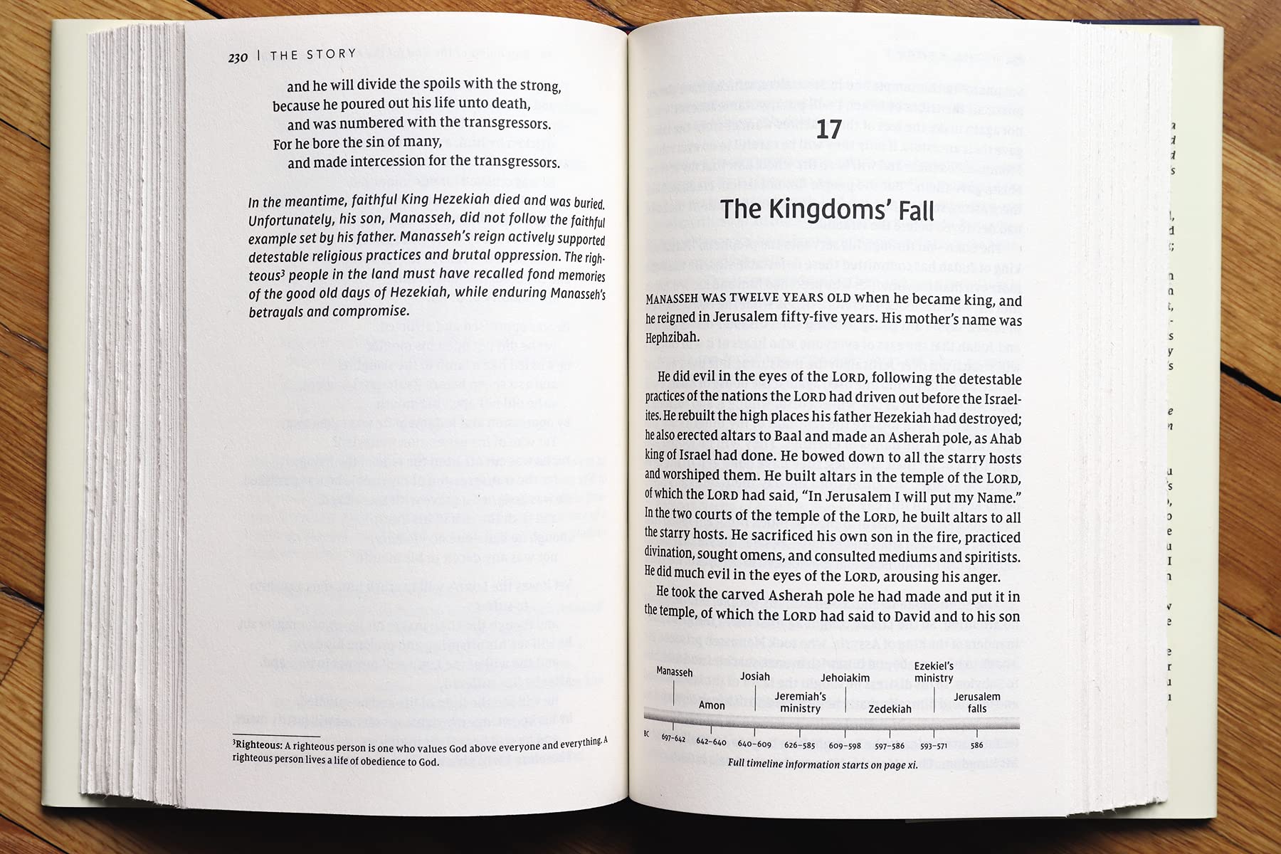 NIV, The Story, Hardcover, Comfort Print: The Bible as One Continuing Story of God and His People used book depot