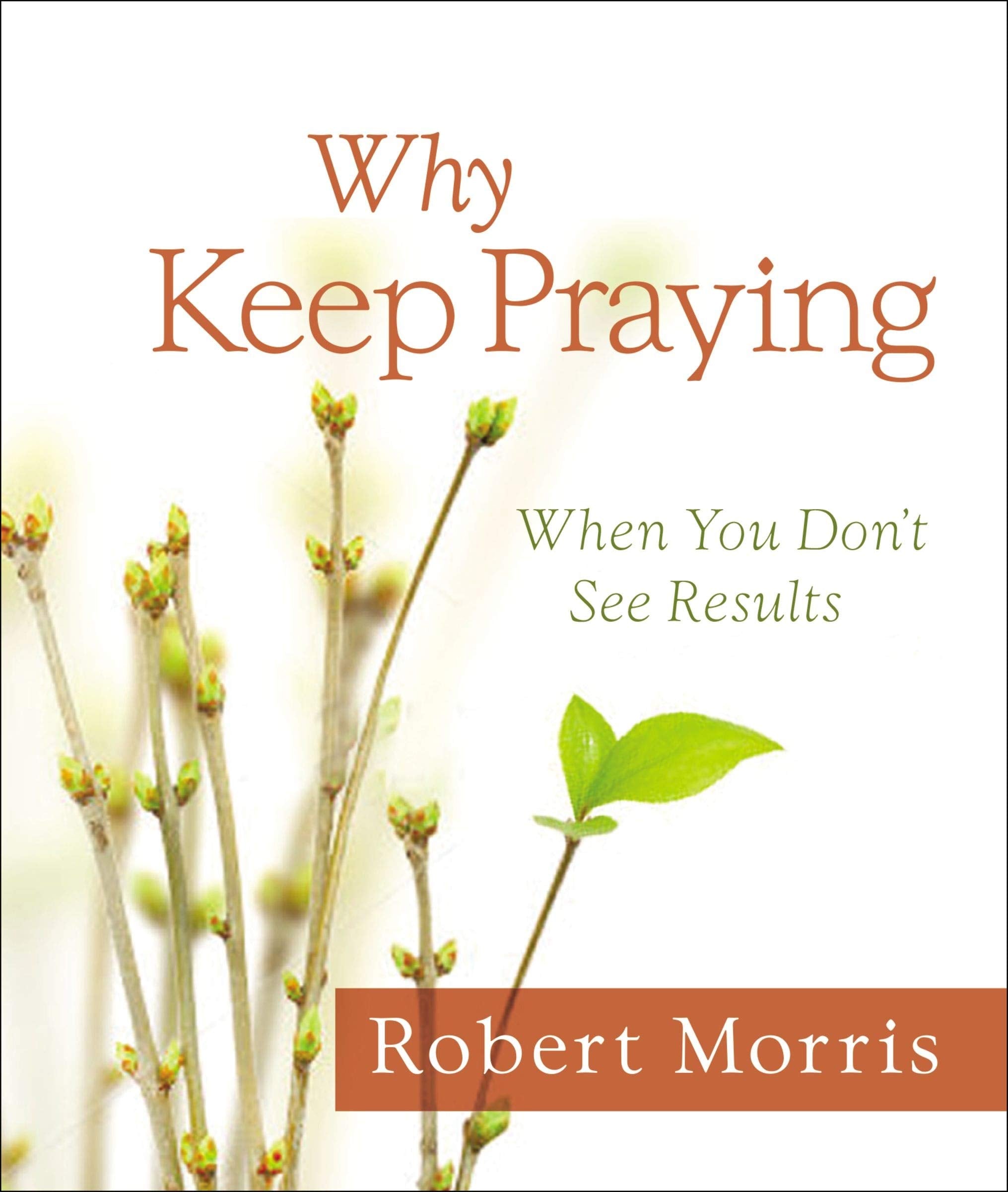 Why Keep Praying?: When You Don't See Results used book depot