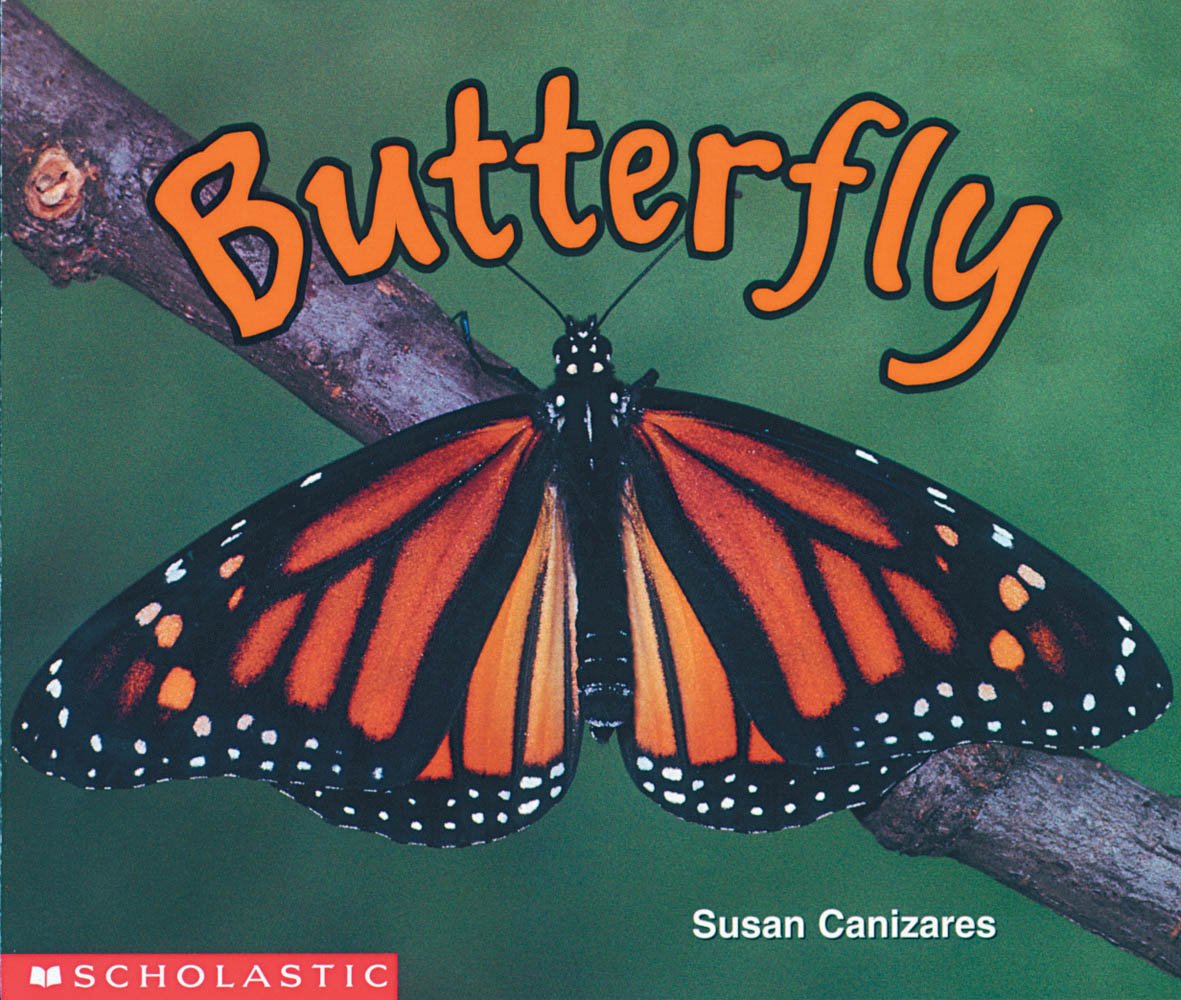 Butterfly (Science Emergent Reader) used book depot