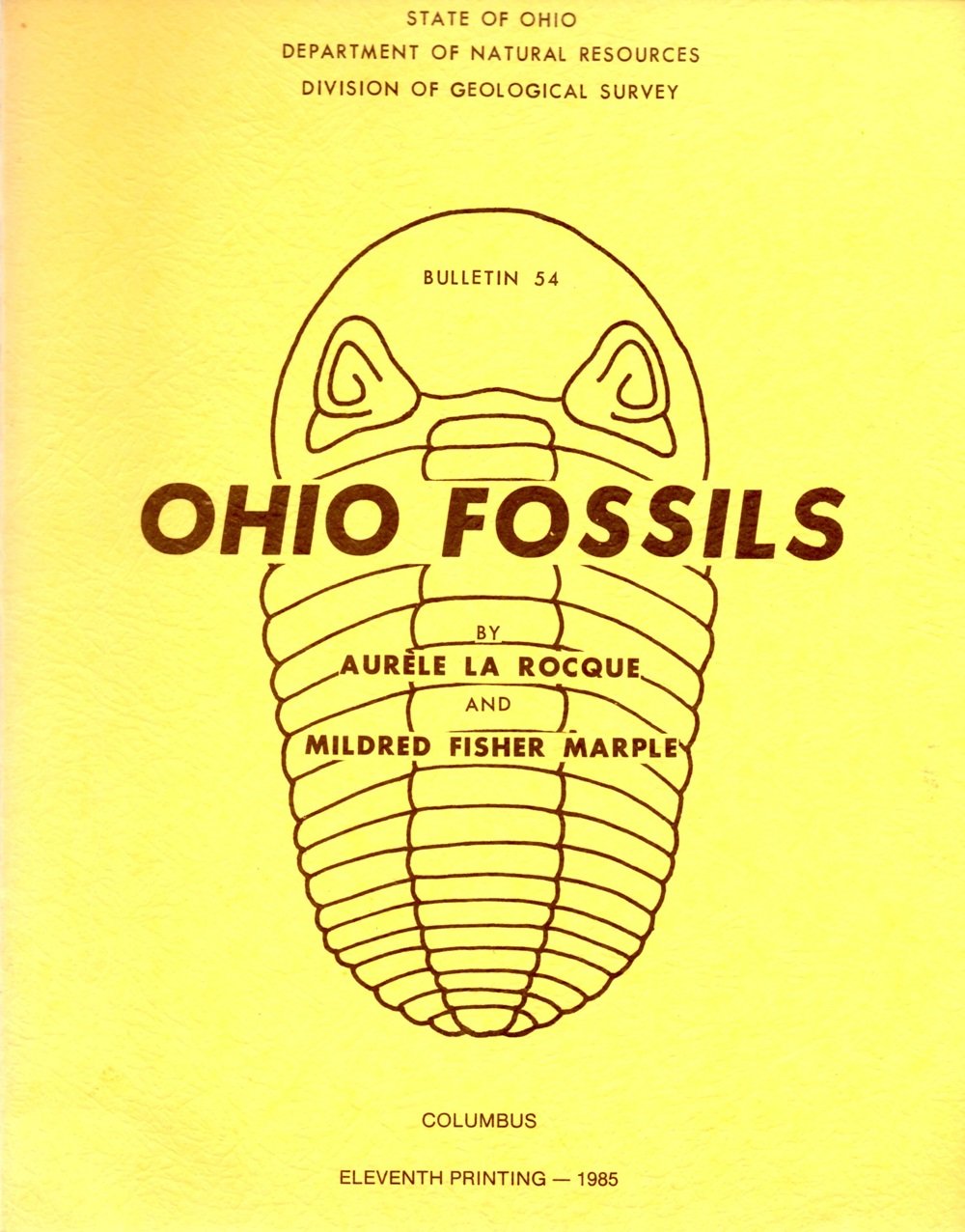 Ohio Fossils (Bulletin 54) used book depot