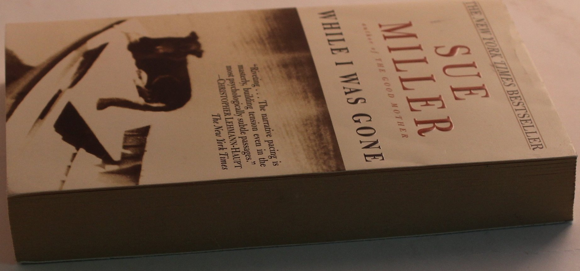 While I Was Gone used book depot