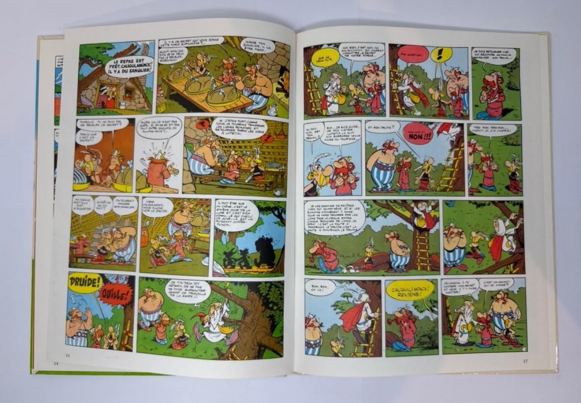Asterix Le Gaulois used book depot