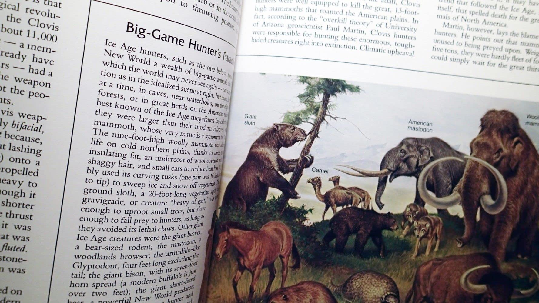 Mysteries of the Ancient Americas: The New World Before Columbus used book depot