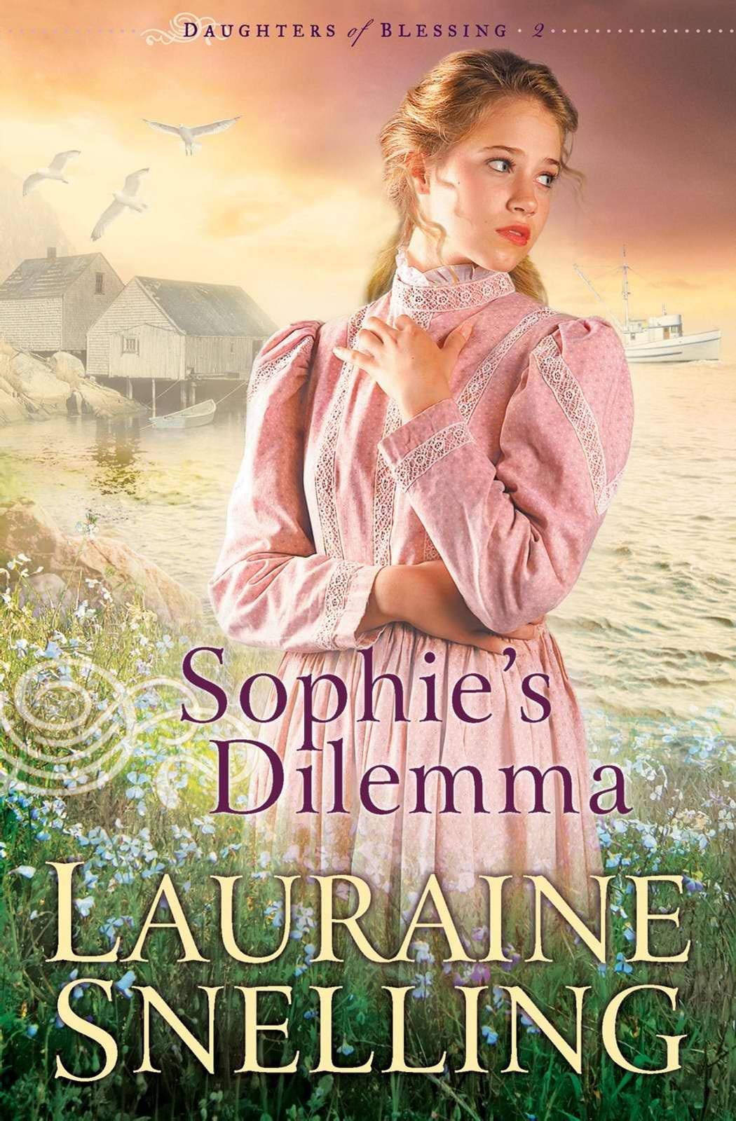 Sophie's Dilemma (Daughters of Blessing #2) used book depot