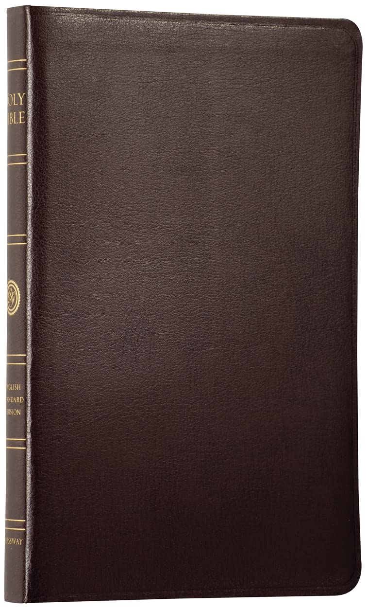 The Holy Bible: English Standard Version : Bonded Leather : Burgundy used book depot