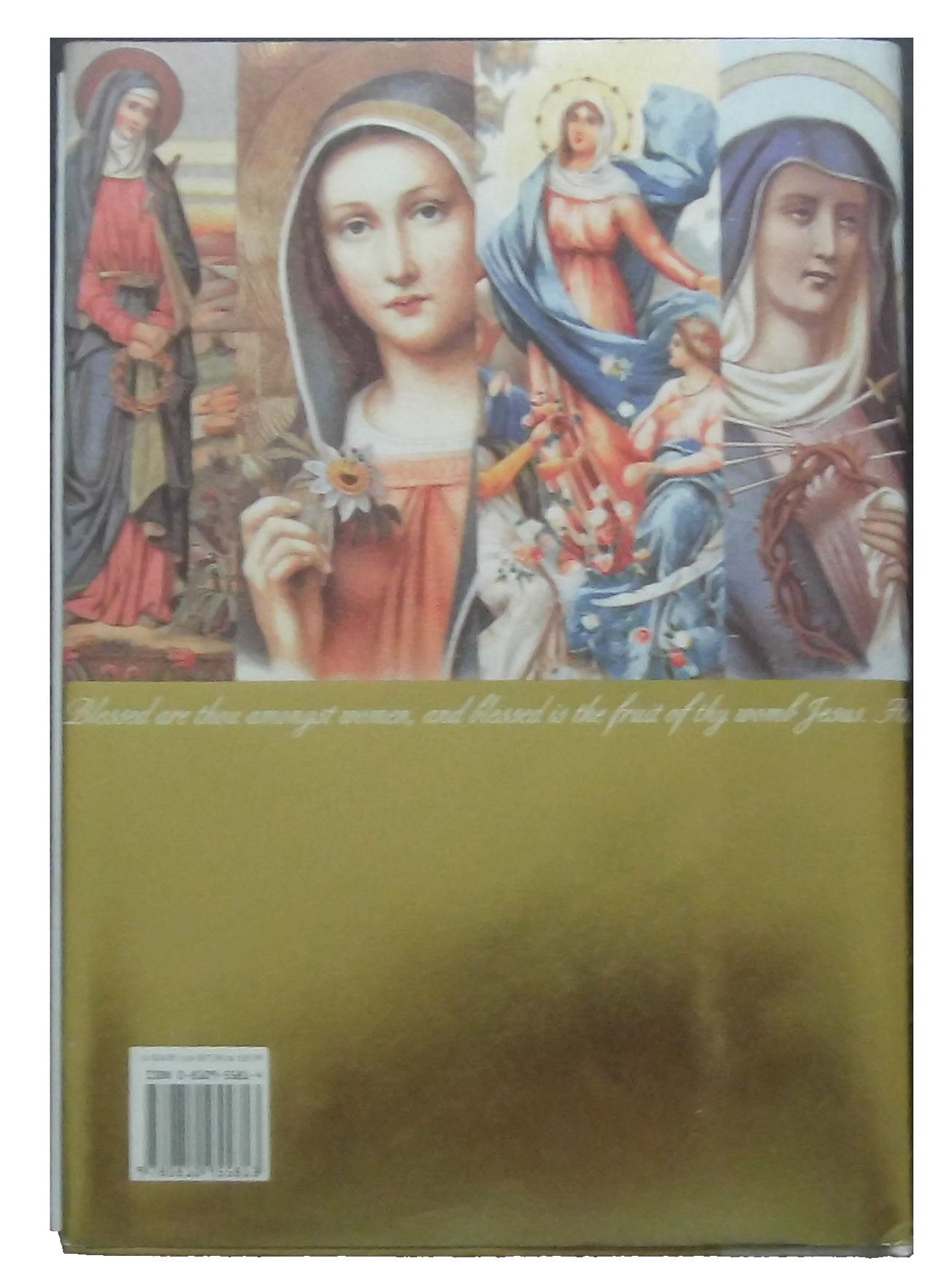 Visions of Mary used book depot
