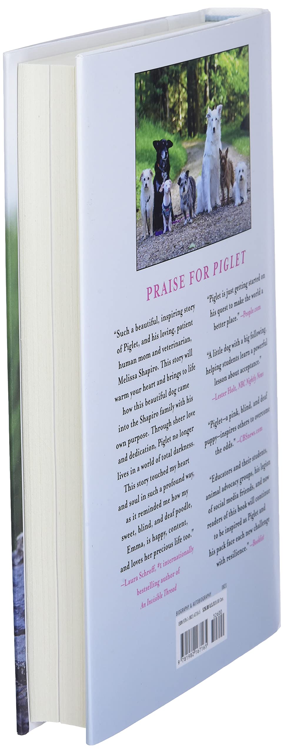 Piglet: The Unexpected Story of a Deaf, Blind, Pink Puppy and His Family used book depot
