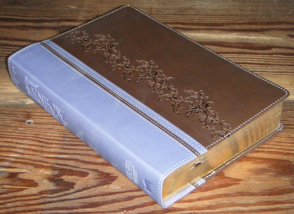 NIV Standard Rainbow Study Bible, Brown/Lavender LeatherTouch used book depot