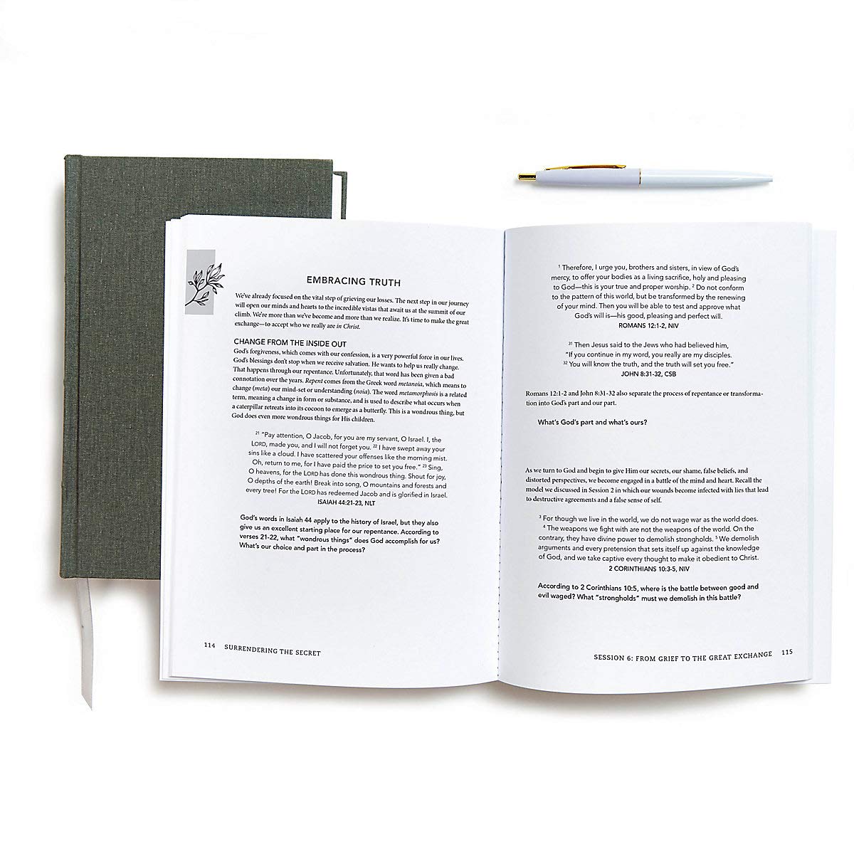 Surrendering the Secret - Bible Study Book: Healing the Heartbreak of Abortion used book depot