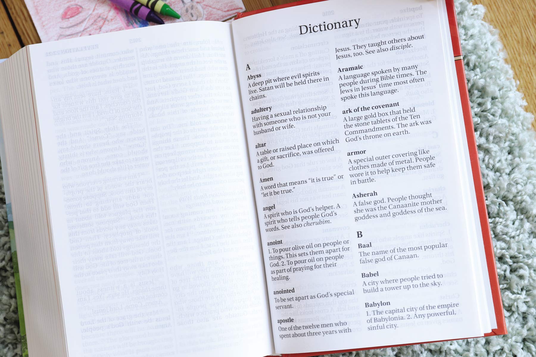 NIrV, Discoverer's Bible for Early Readers, Large Print, Hardcover: A Large Print Bible for Early Readers used book depot
