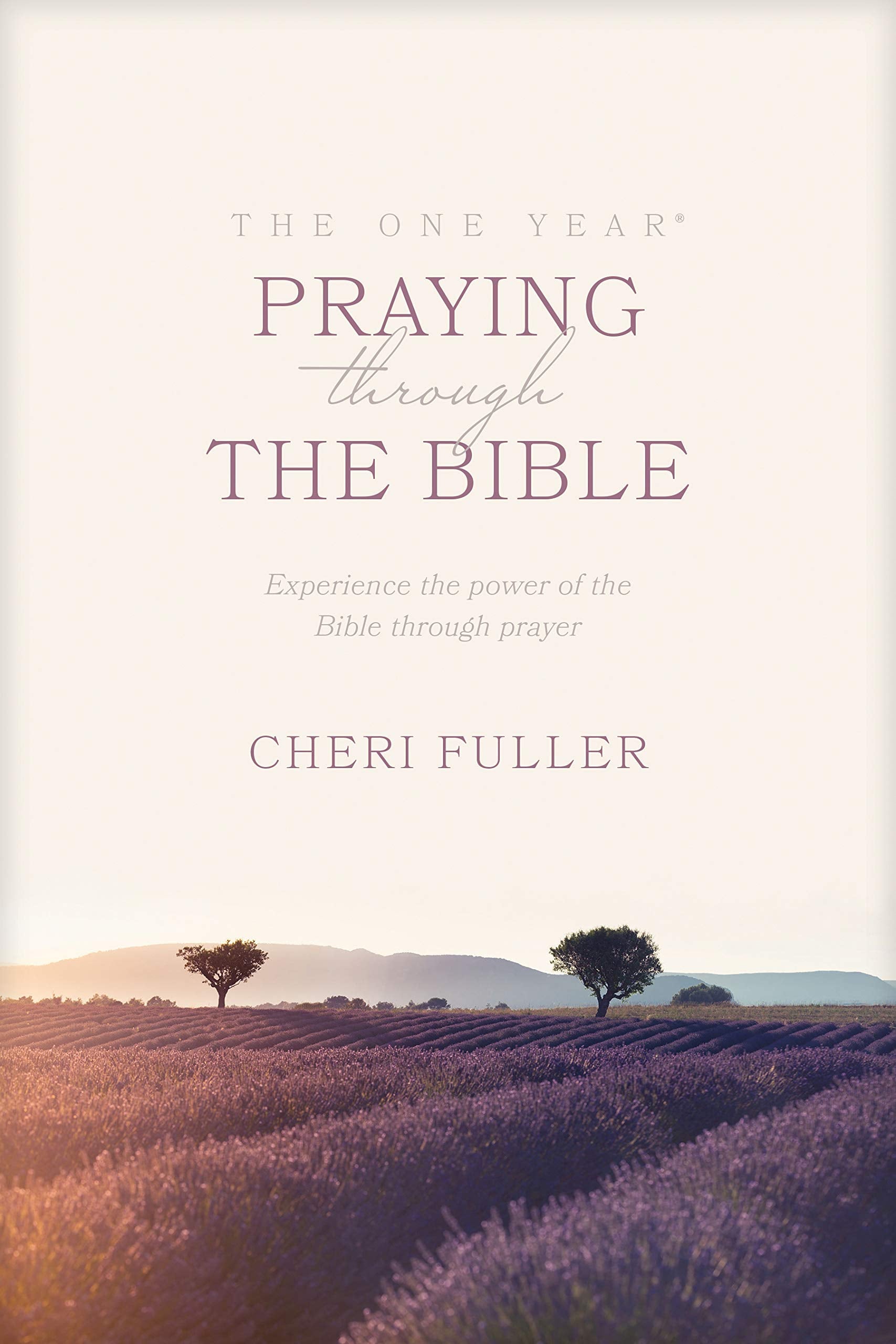 The One Year Book of Praying through the Bible used book depot
