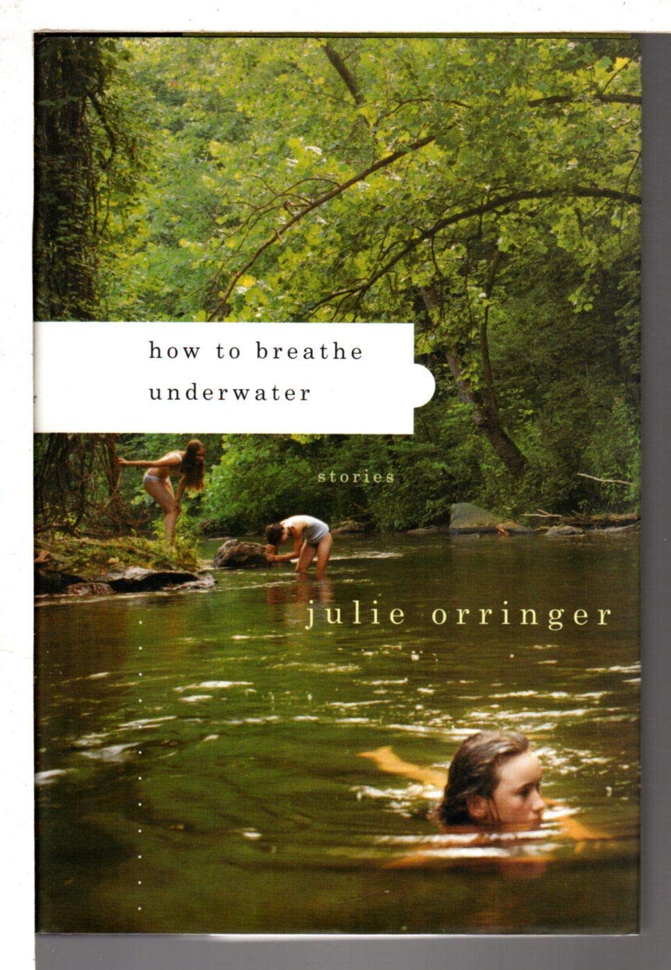 How to Breathe Underwater: Stories used book depot