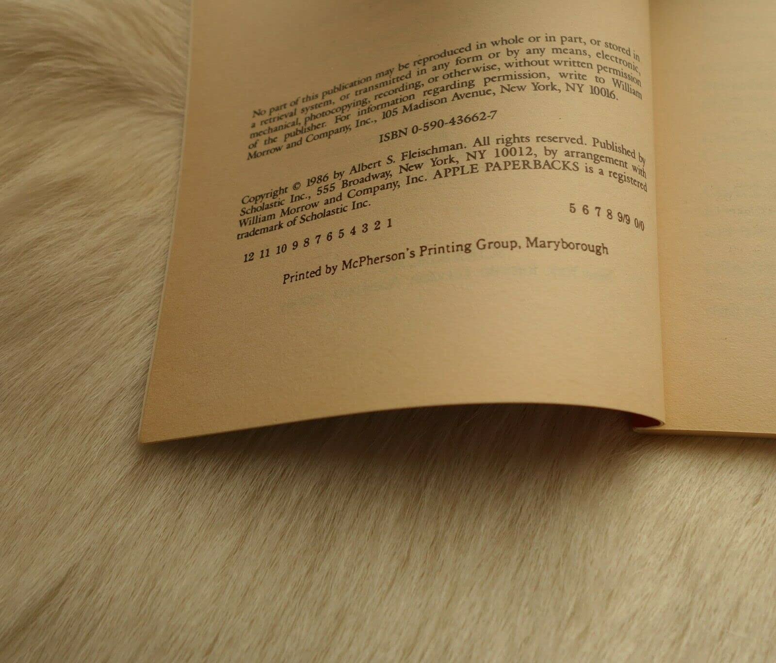 Ghost in the Noonday Sun used book depot