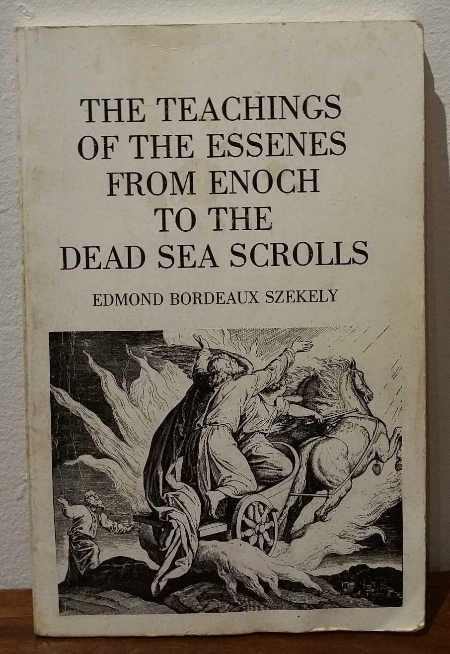 The Teachings of the Essenes from Enoch to the Dead Sea Scrolls used book depot