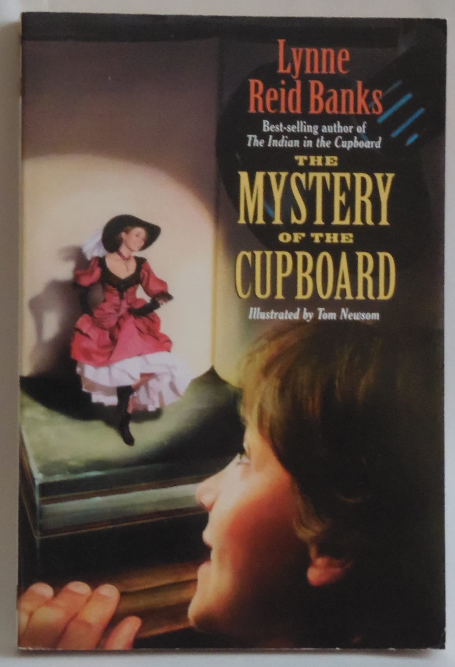 The Mystery of the Cupboard used book depot