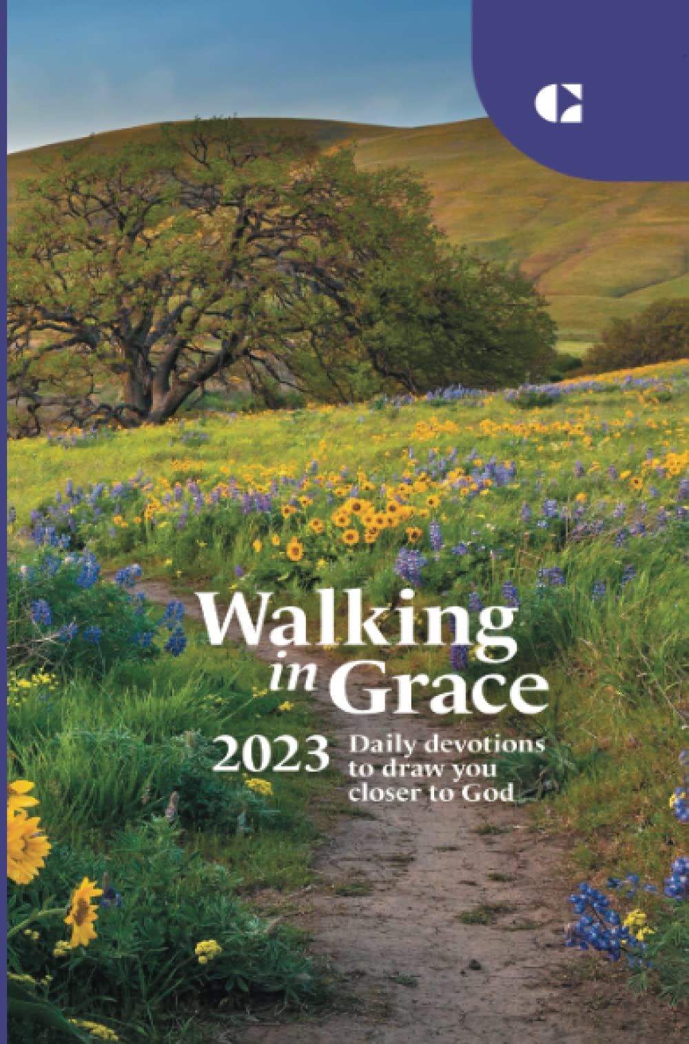 Walking in Grace 2023: Daily devotions to draw you closer to God used book depot