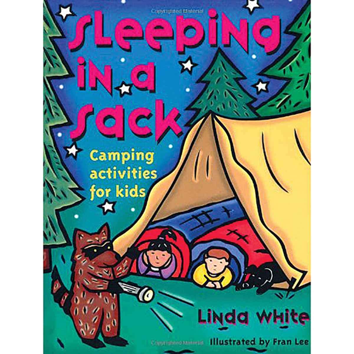 Sleeping In A Sack: Camping Activities for Kids (Acitvities for Kids) used book depot