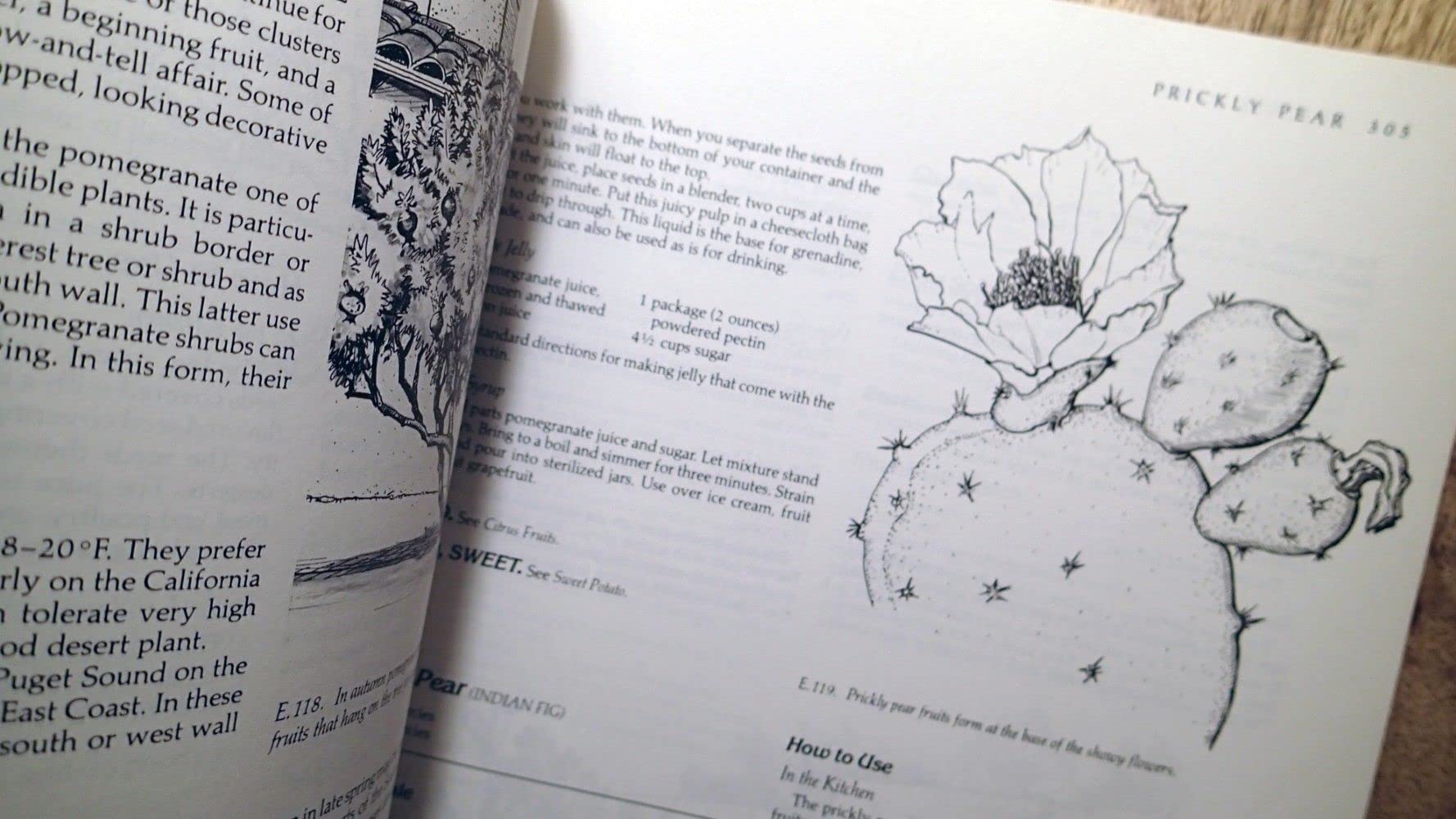 The Complete Book of Edible Landscaping: Home Landscaping with Food-Bearing Plants and Resource-Saving Techniques used book depot