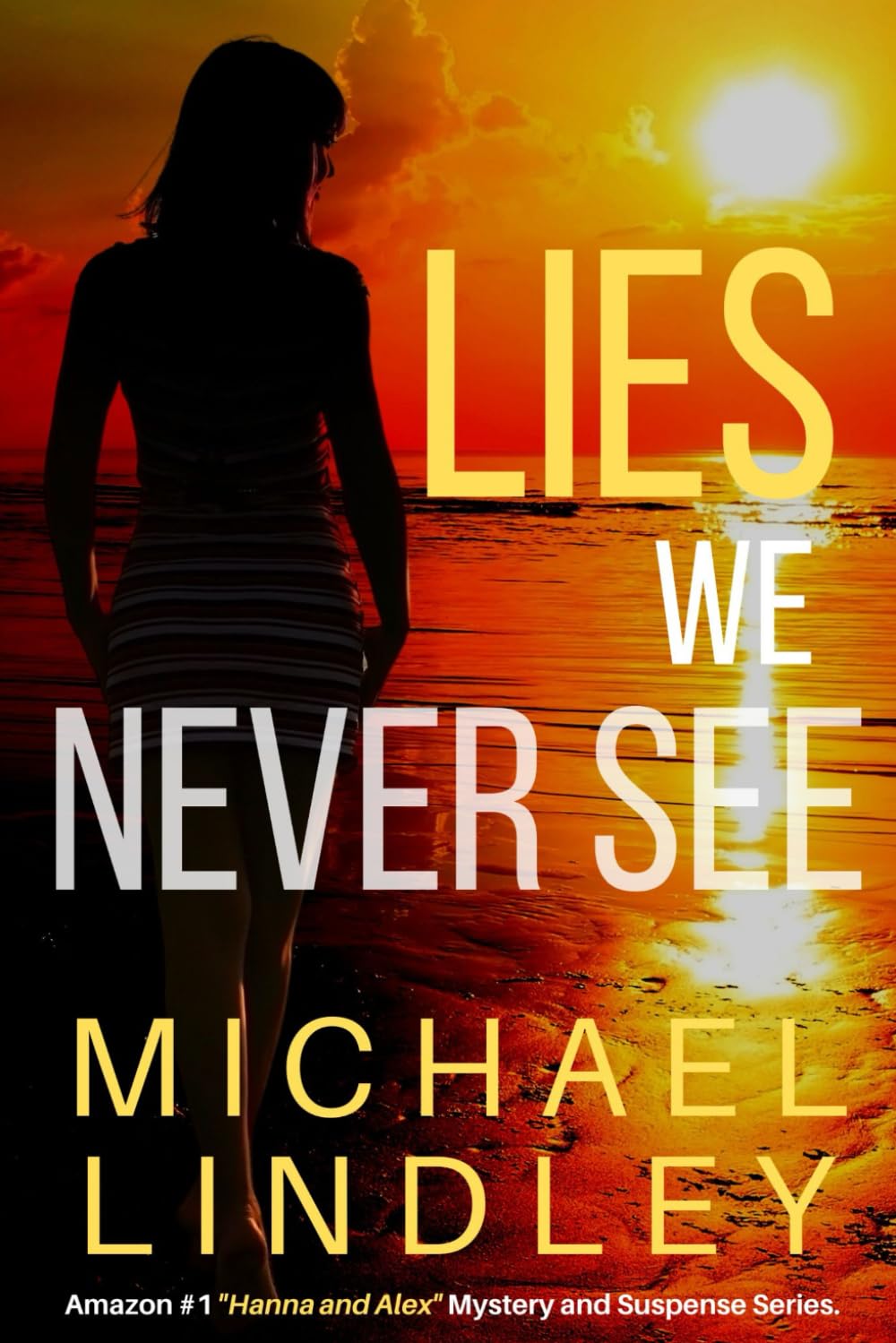 LIES WE NEVER SEE: A South Carolina woman, struggling to endure the loss of her husband and financial ruin, finds an old journal from a distant ... and Alex" Low Country Mystery Series.)