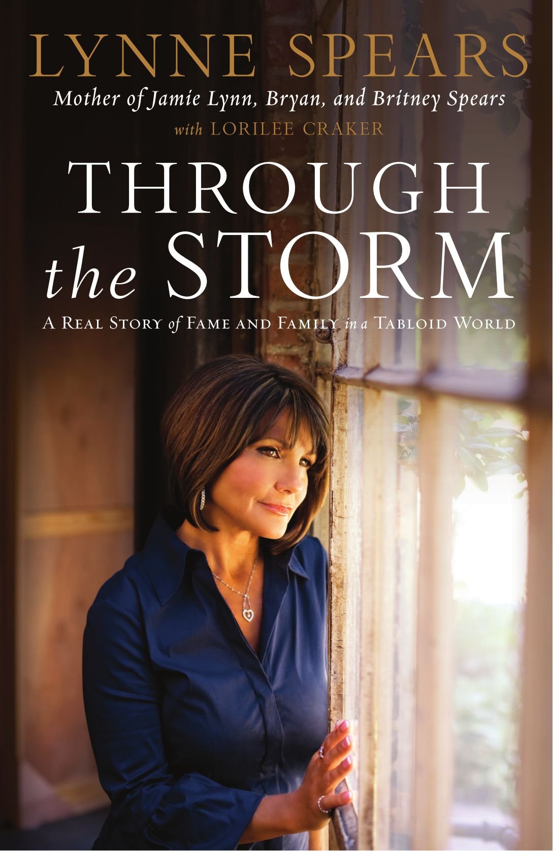 Through The Storm used book depot