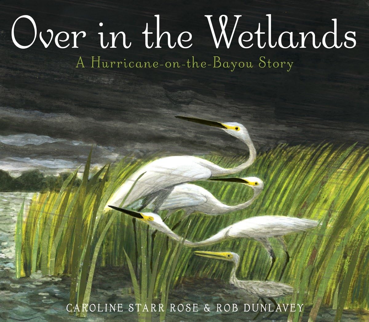 Over in the Wetlands: A Hurricane-on-the-Bayou Story used book depot