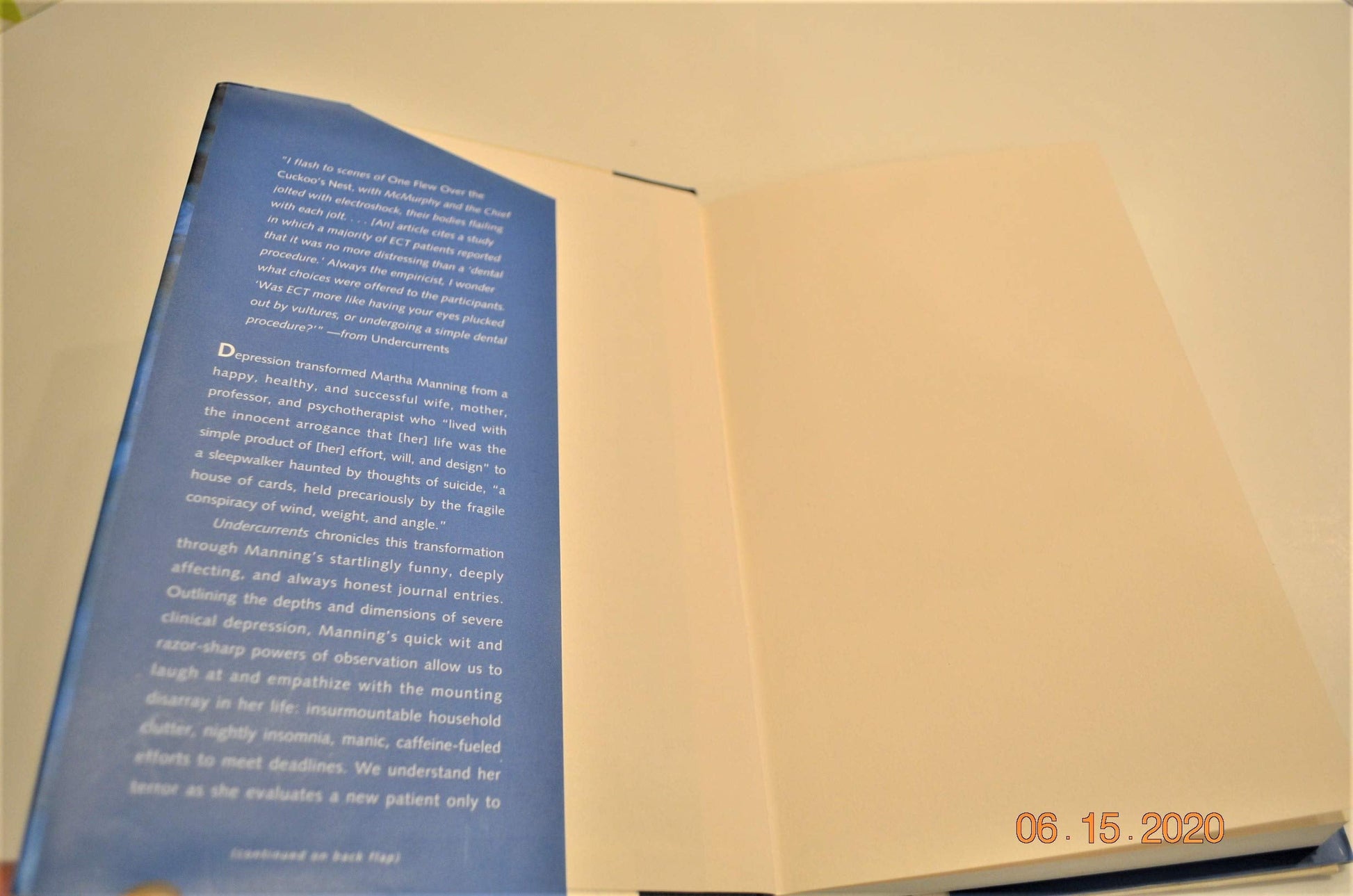 Undercurrents: A Therapist's Reckoning With Her Own Depression used book depot