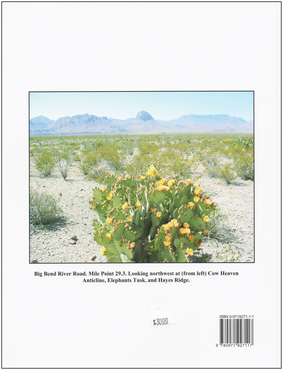 Geologic Wonders of West Texas used book depot