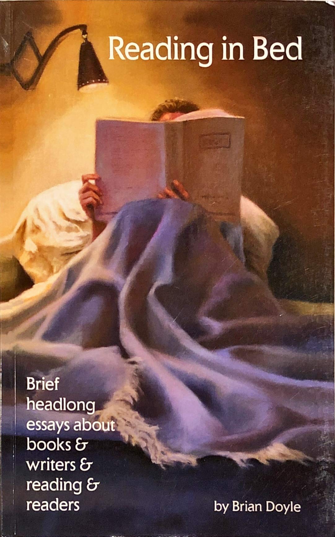Reading In Bed used book depot