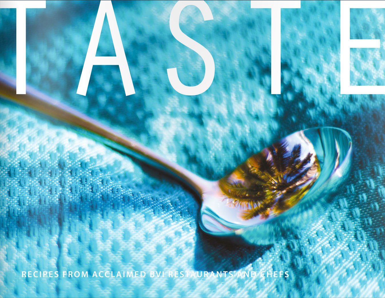 Taste: Recipes from Acclaimed BVI Restaurants and Chefs used book depot