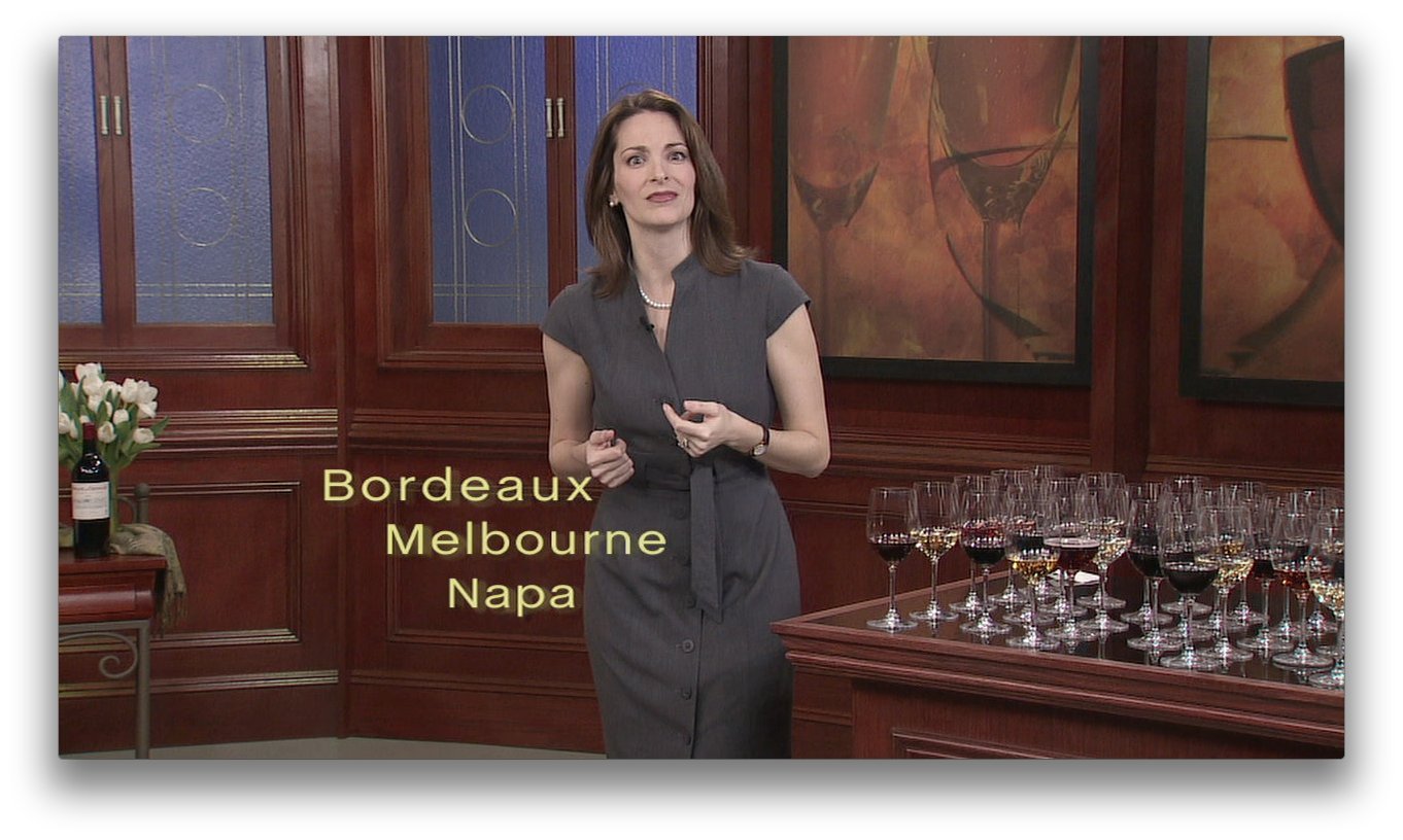 The Everyday Guide to Wine used book depot
