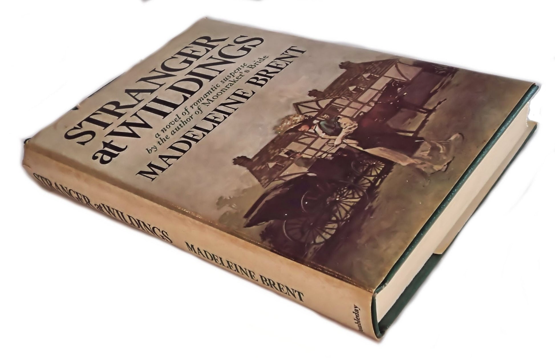 Stranger at Wildings used book depot