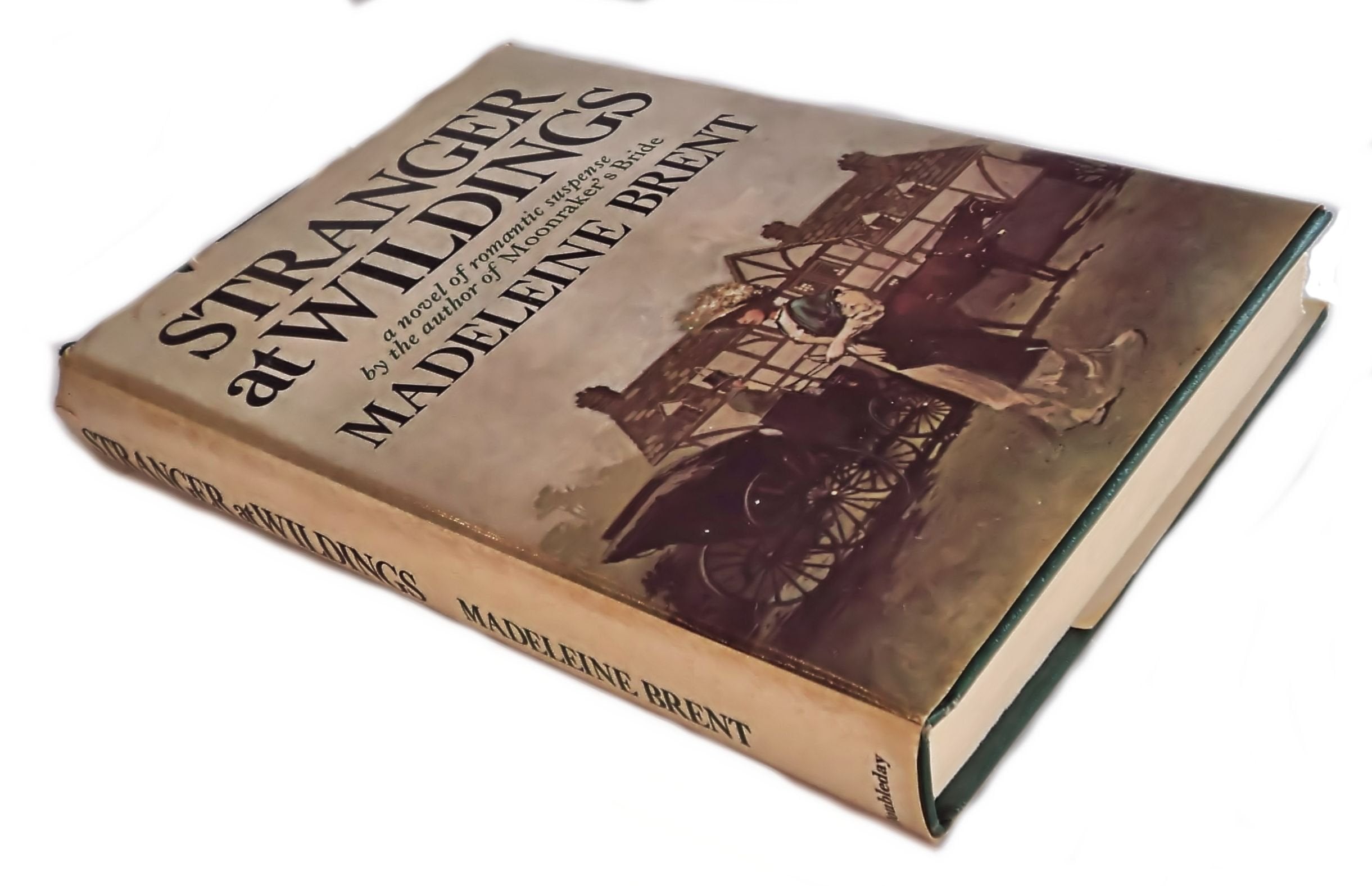Stranger at Wildings used book depot