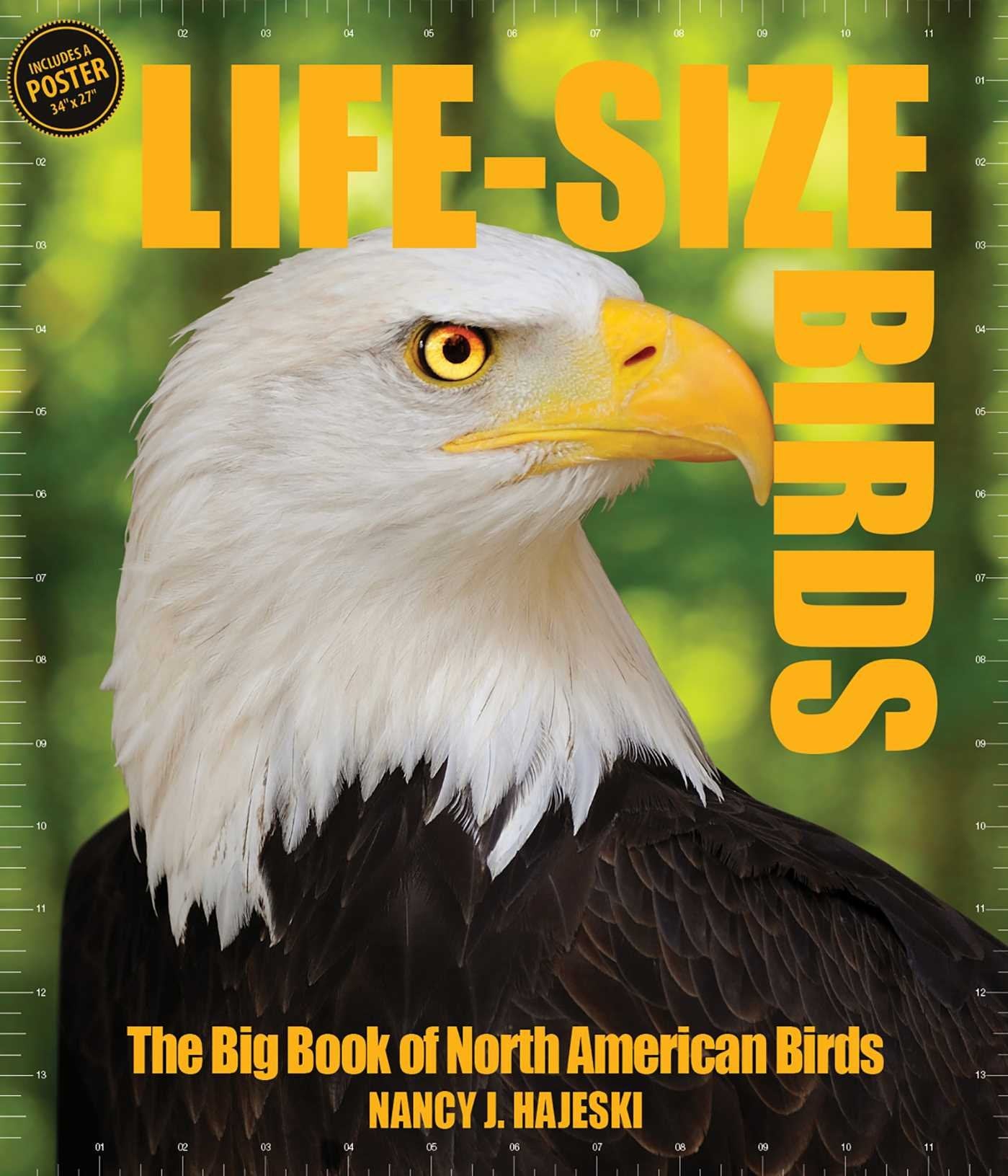 Life Size Birds used book depot