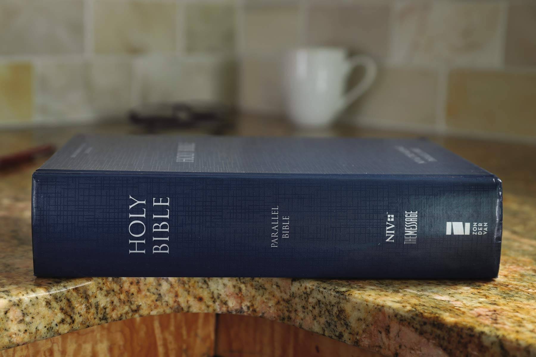 NIV, The Message, Parallel Bible, Large Print, Hardcover: Two Bible Versions Together for Study and Comparison used book depot