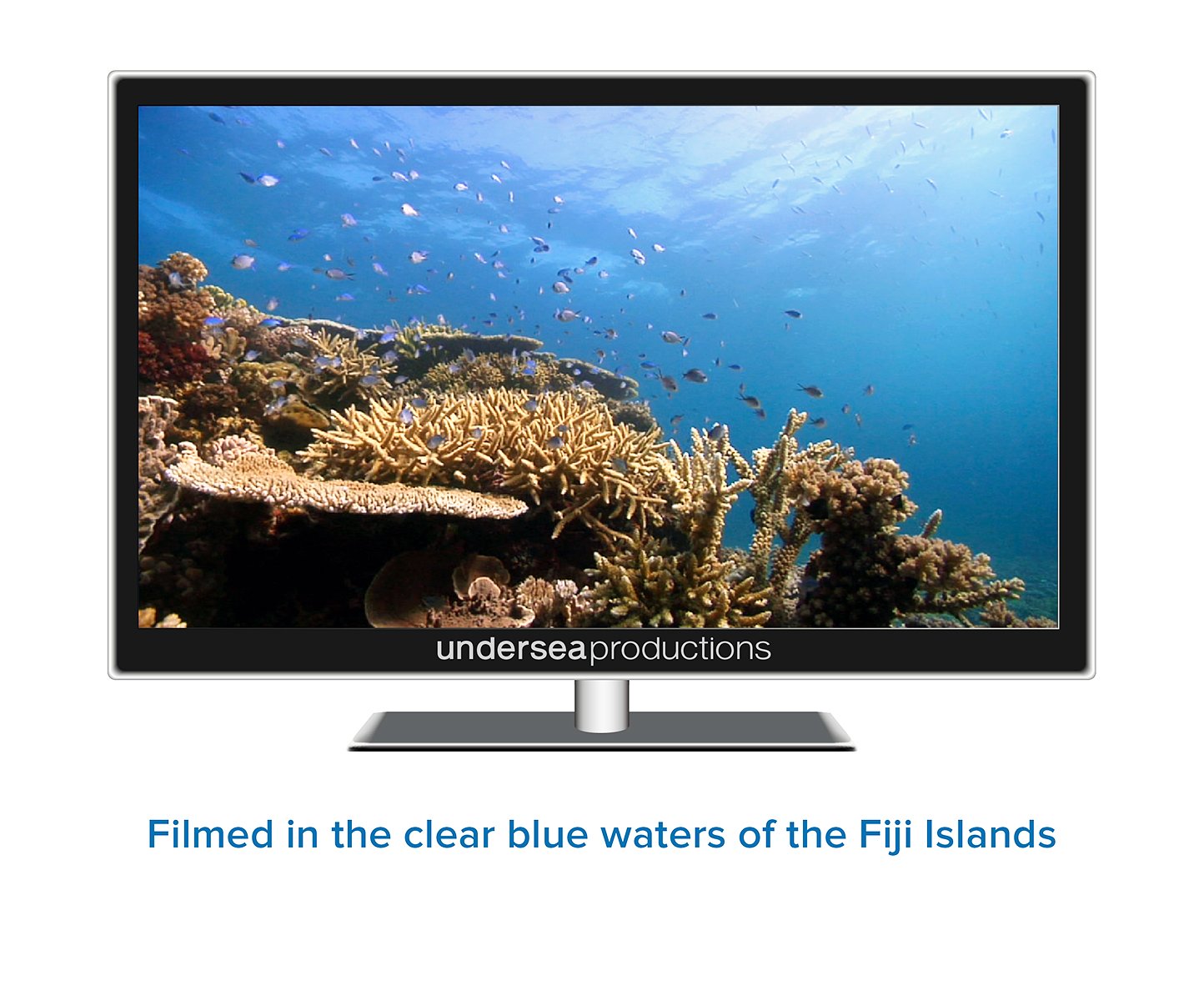 Reefscapes: Nature's Aquarium DVD, nature video of tropical fish and coral reefs filmed in the ocean, for relaxation and ambience used book depot
