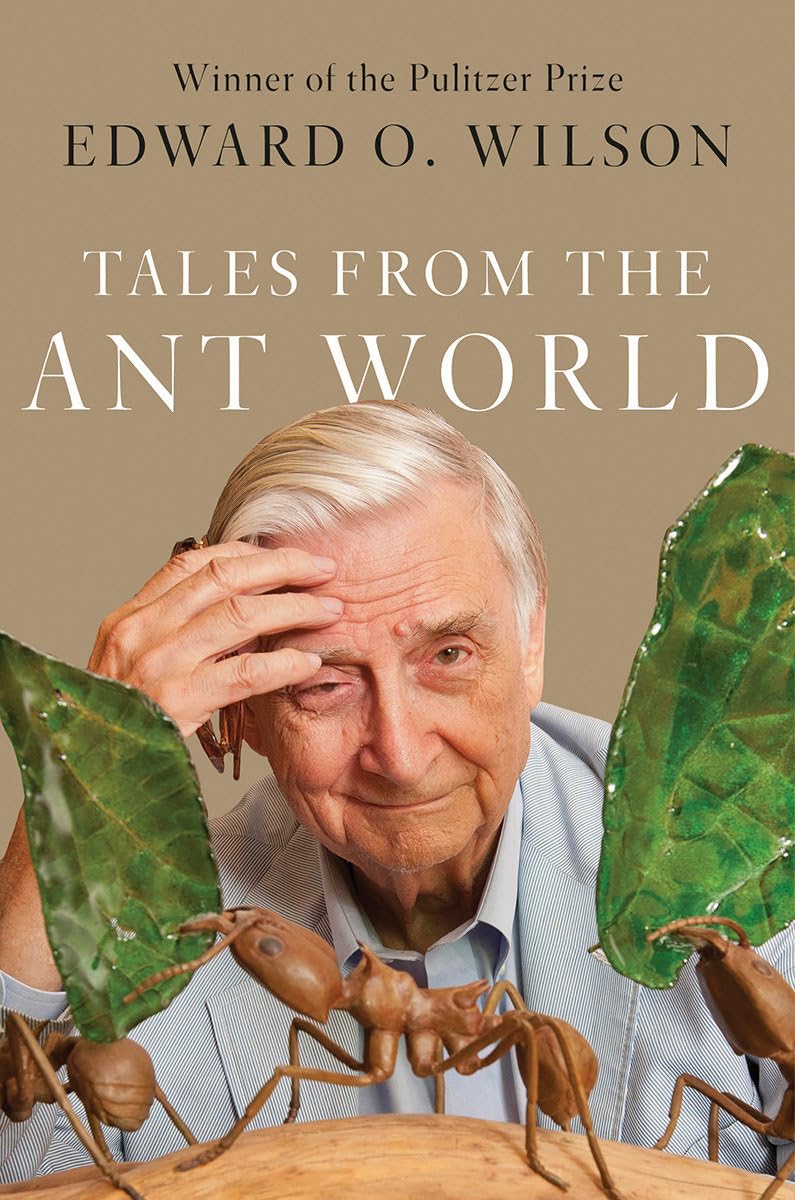 Tales from the Ant World used book depot