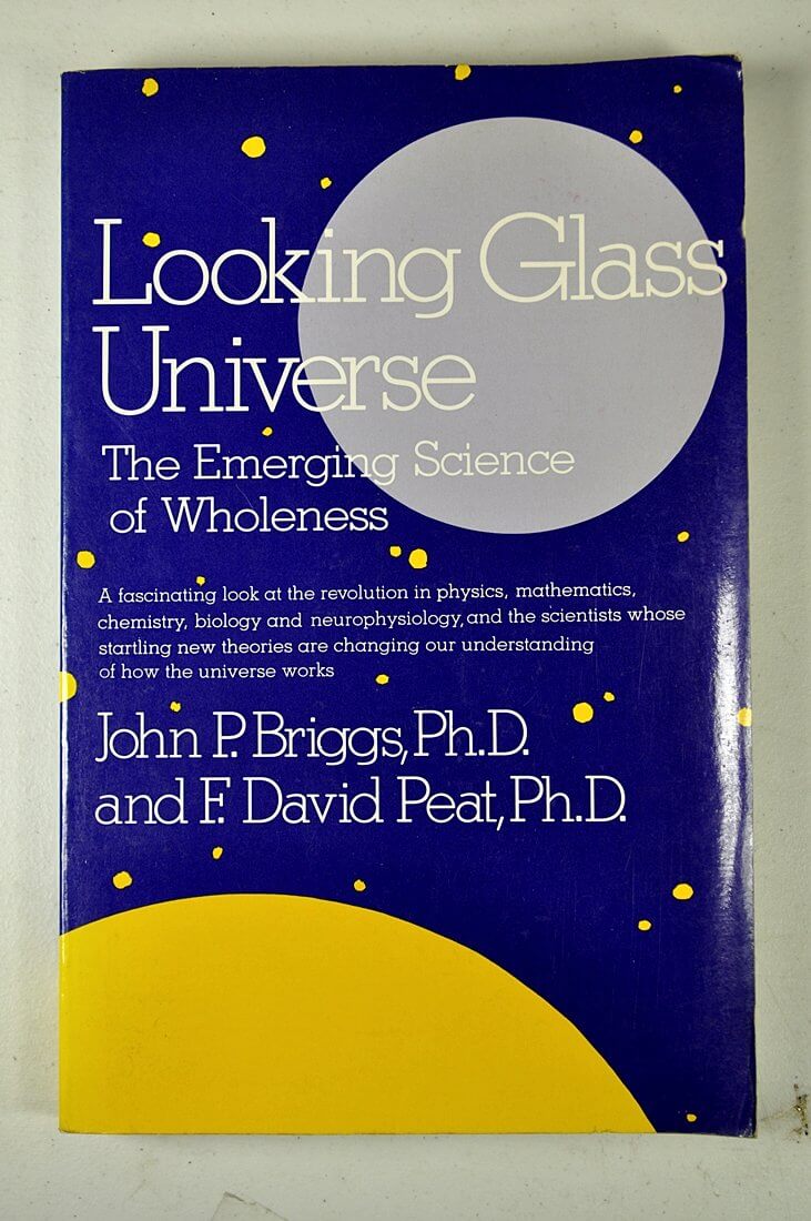 Looking glass universe: The emerging science of wholeness used book depot