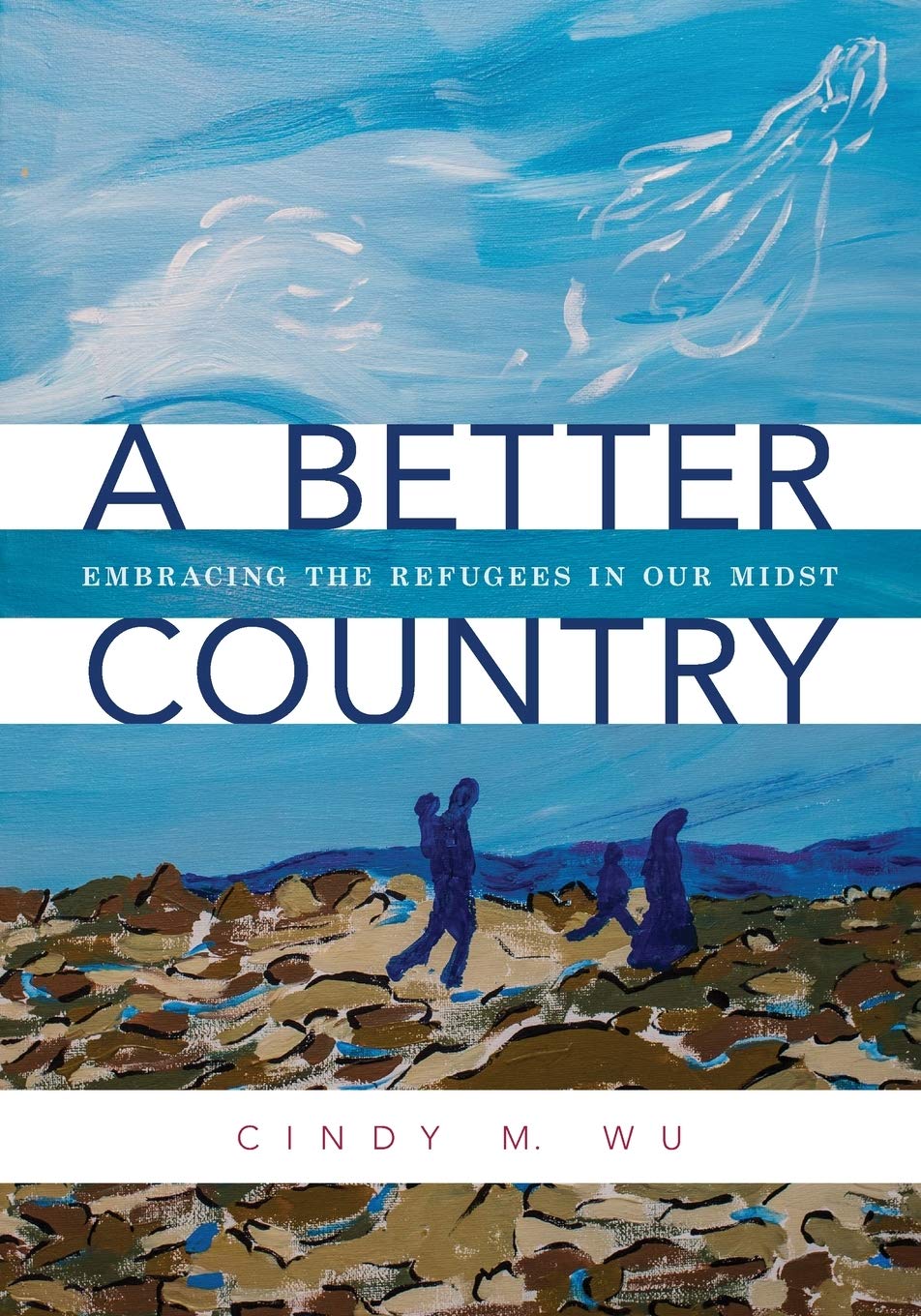 A Better Country: Embracing the Refugees in Our Midst used book depot